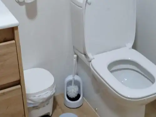 Bany de Pis per a compartir en Estación