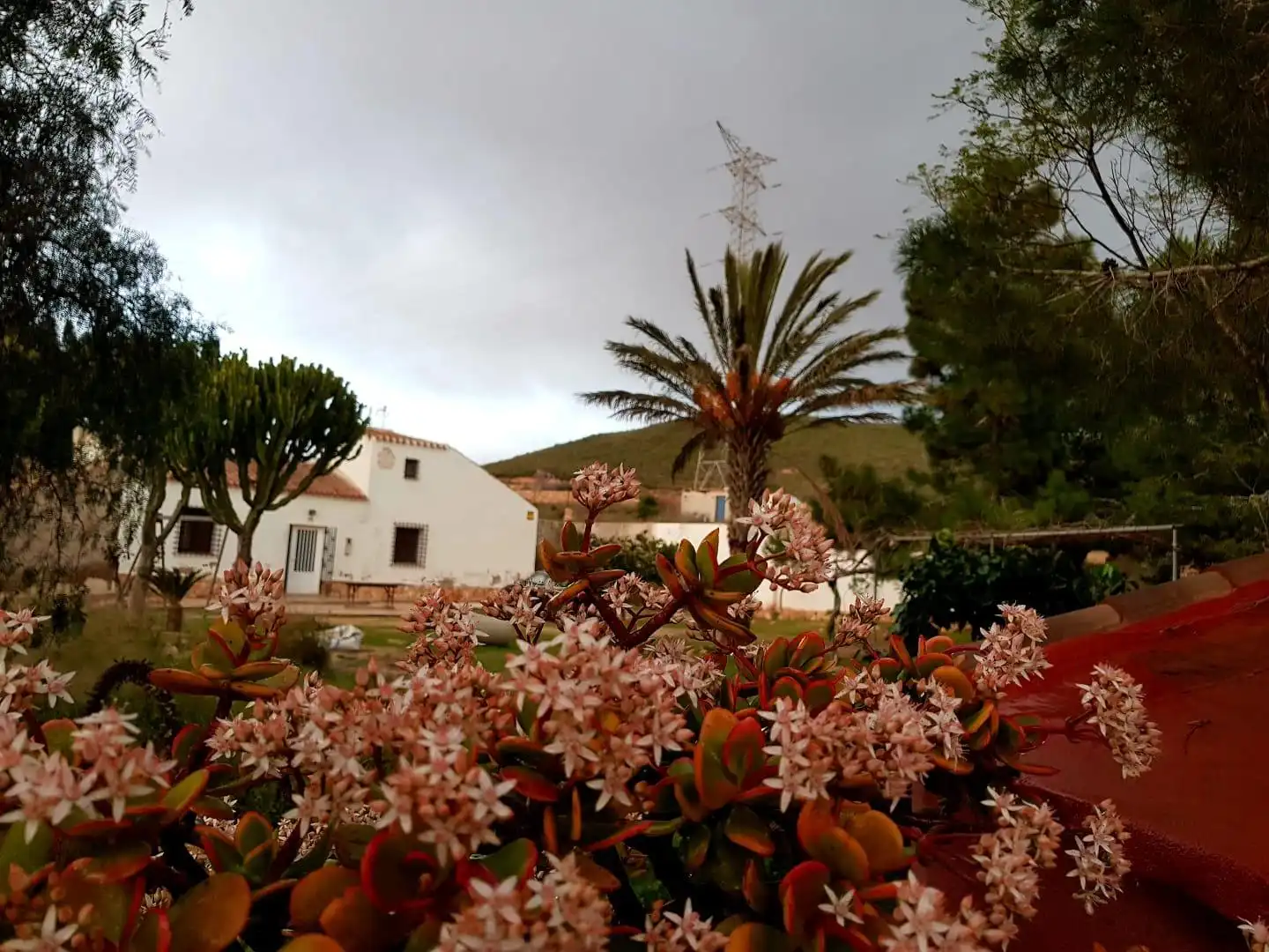 Casa rústica en venta en La Pinilla - Las Palas, imagen 3