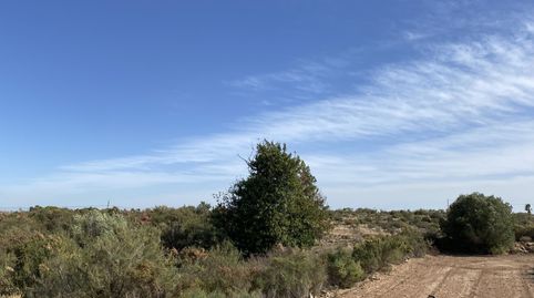 Foto 4 de Terreno en venta en El Altet, Elche / Elx