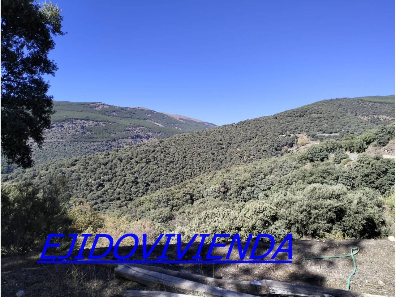 Grundstücke zum verkauf in Bayárcal