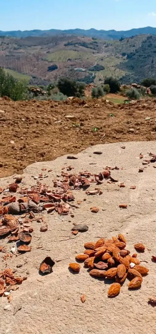 Terreno rustico in vendita a N/A, imagen 7