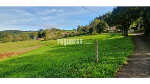 Finca edificable Castrillon, imatge 4