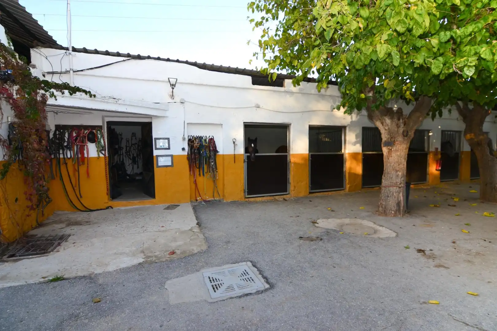 Rustikales Grundstück zum Verkauf in La Dehesa - El Pinar, imagen 20