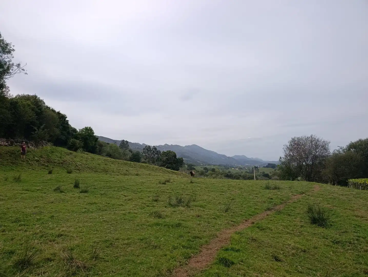 Rustikales Grundstück zum Verkauf in Carretera Piñera (Noriega) 0, imagen 9