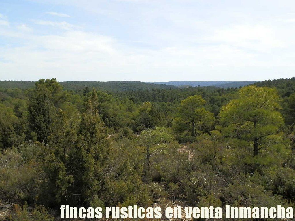 Land for sale in Carboneras de Guadazaón