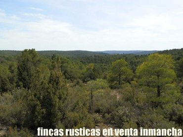 Terrain rustique à vendre à Carboneras de Guadazaón