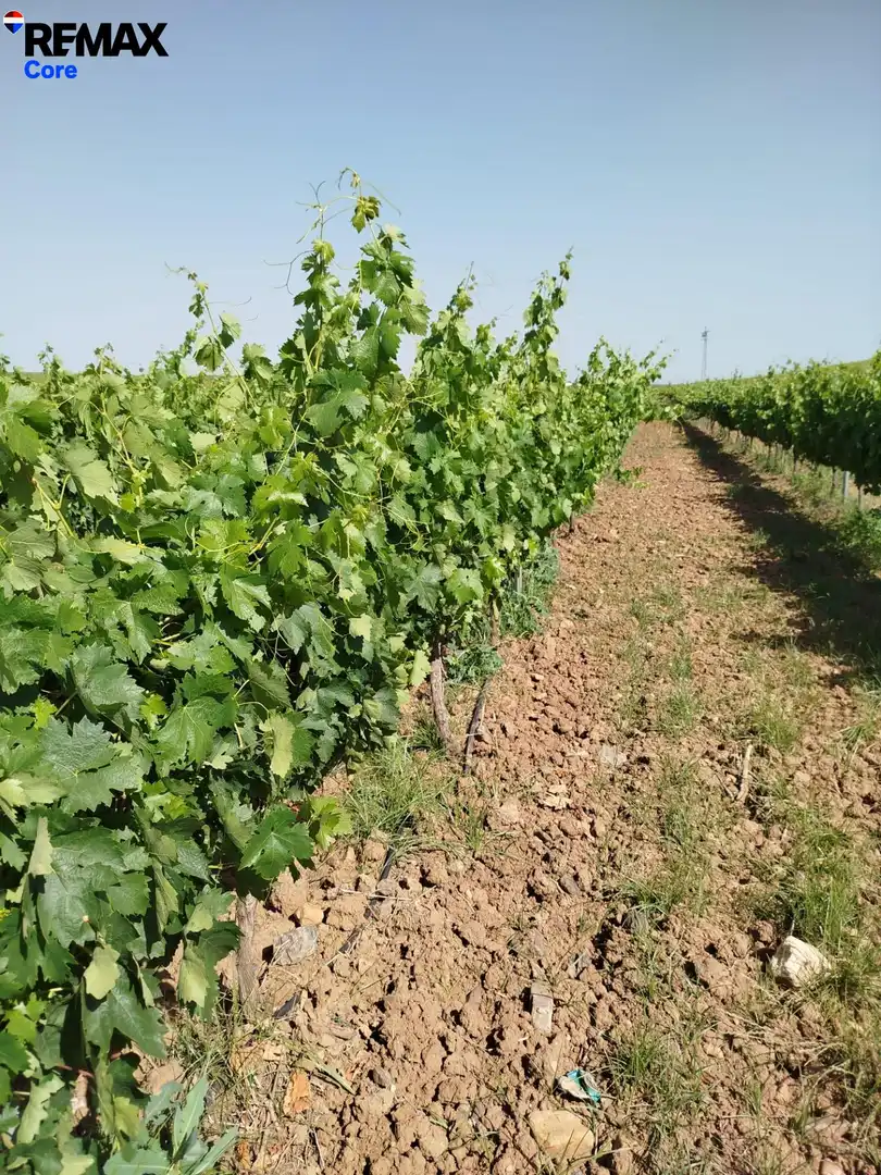 Terreni e lotti in vendita a Carretera de Sevilla - Los Montitos