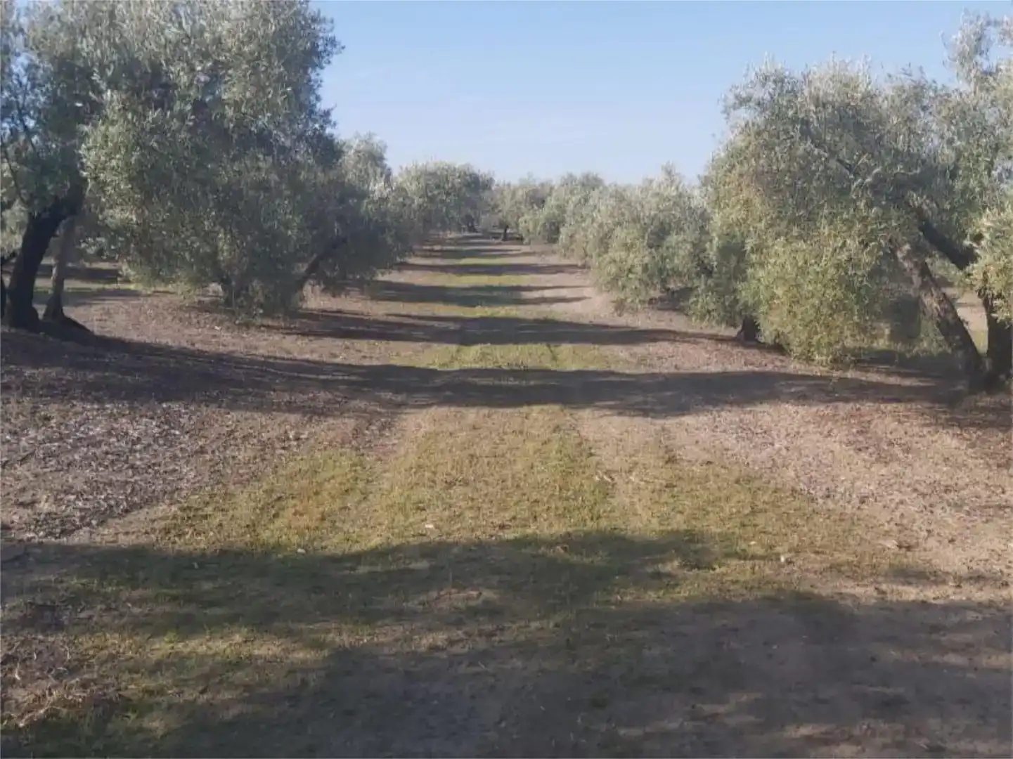Terreno en venta en Arjona