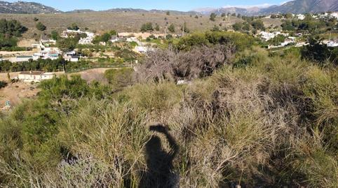 Photo 3 of Land for sale in Avenida de las Palmeras, 66, Avda Pescia - Ctra de Frigiliana, Málaga