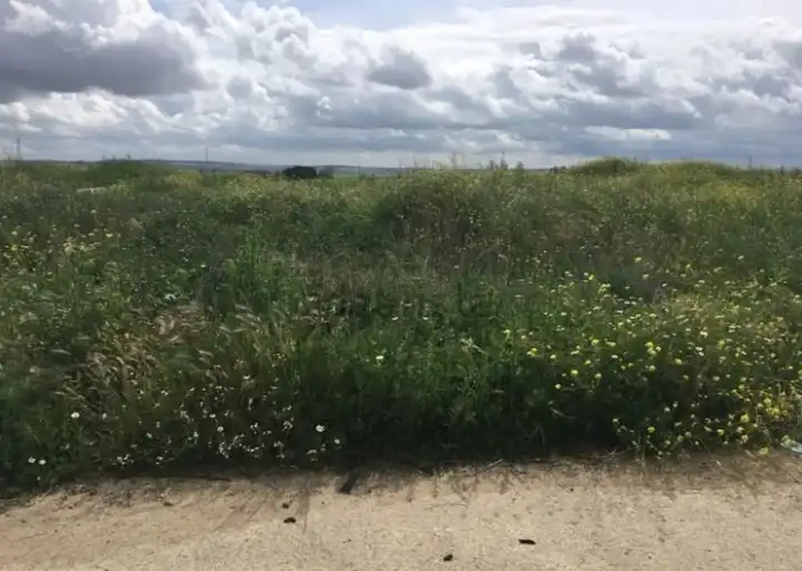 Land for sale in Torrejón de la Calzada