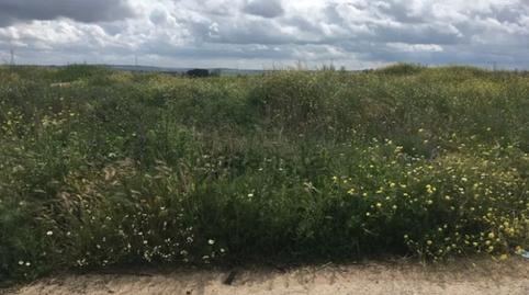 Foto 5 de Terreno en venta en Camino de Santa Juana, Torrejón de la Calzada, Madrid