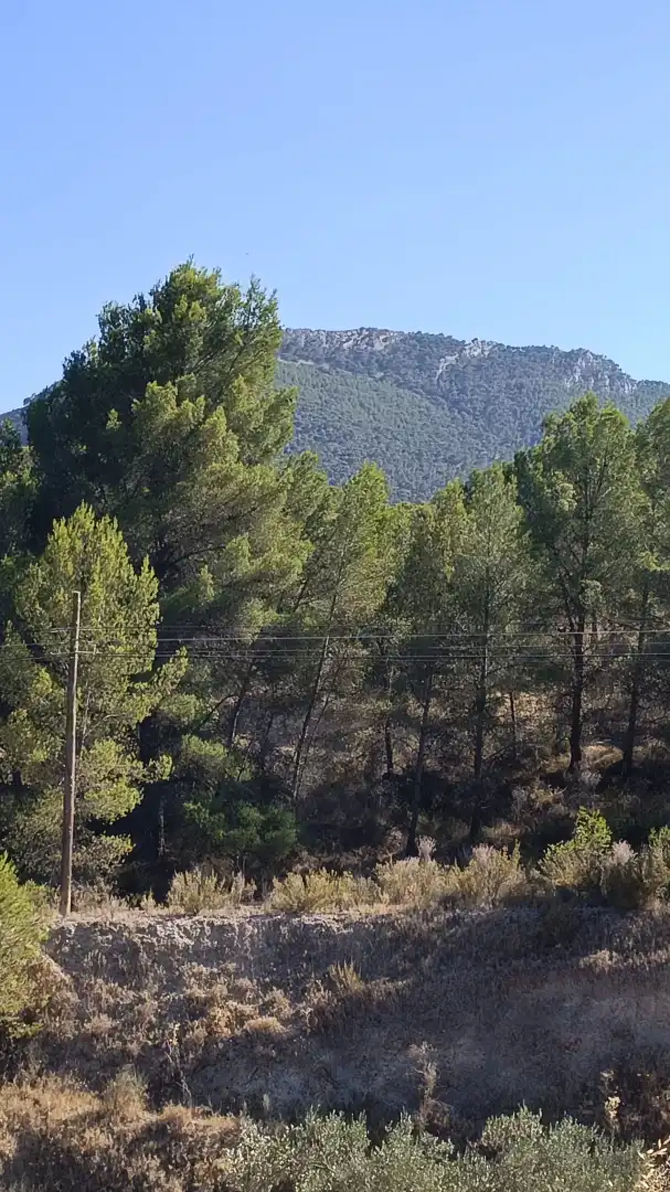 Vista exterior de Finca rústica en venta en Tibi con Jardín privado y Terraza