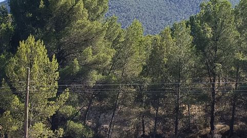 Foto 5 de Finca rústica en venta en Urbanización Pinares del Mecli Izqd, Tibi, Alicante