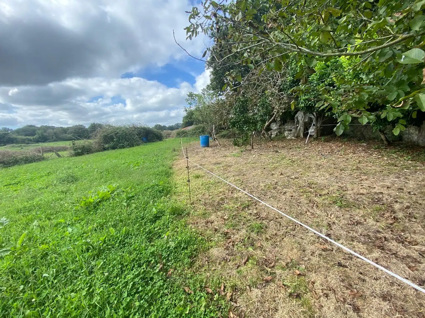 Finca rústica en venta en Argoños