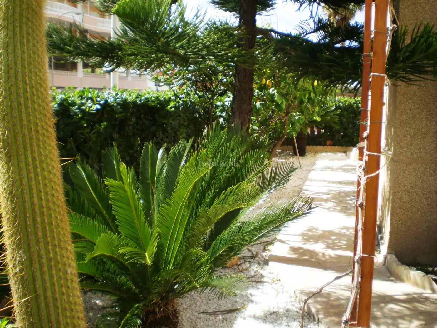 Erdgeschosswohnung mit Pool zum Verkauf in Avinguda Roger de Llúria 30, imagen 9