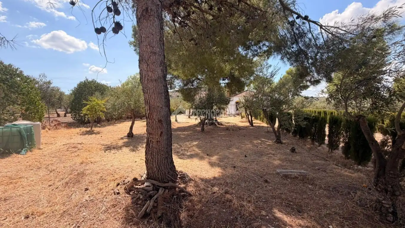 Casa rustica con piscina in vendita a EL ALGARROBO, imagen 16
