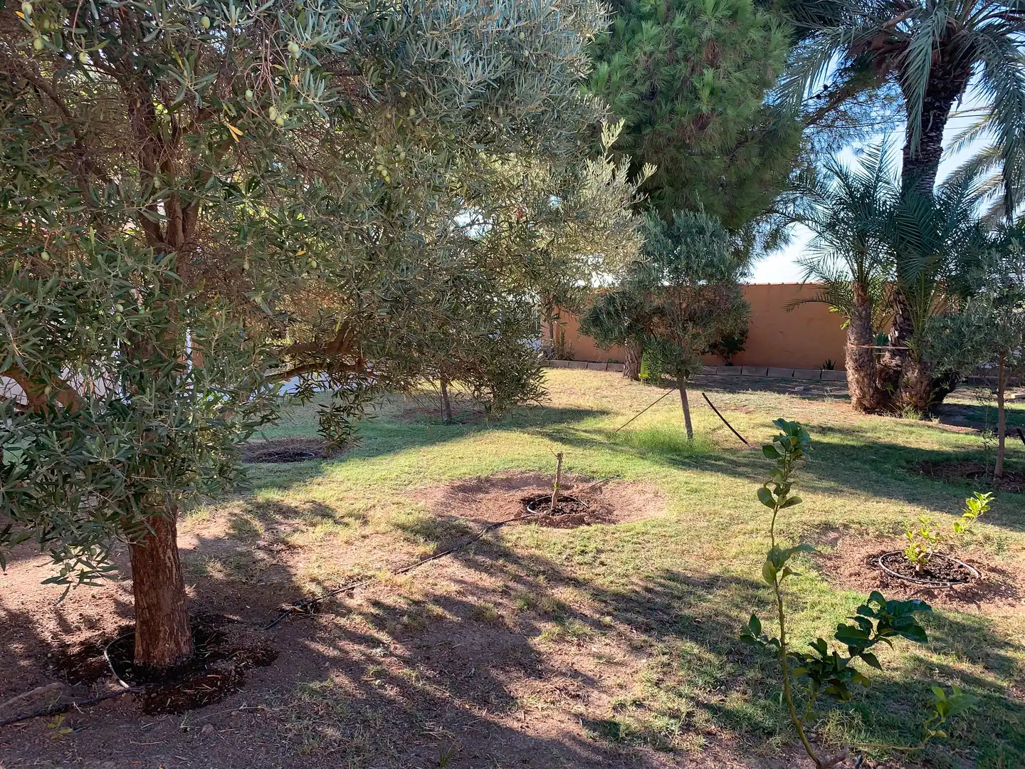 Garden of Houses for sale in Cartagena  with Terrace