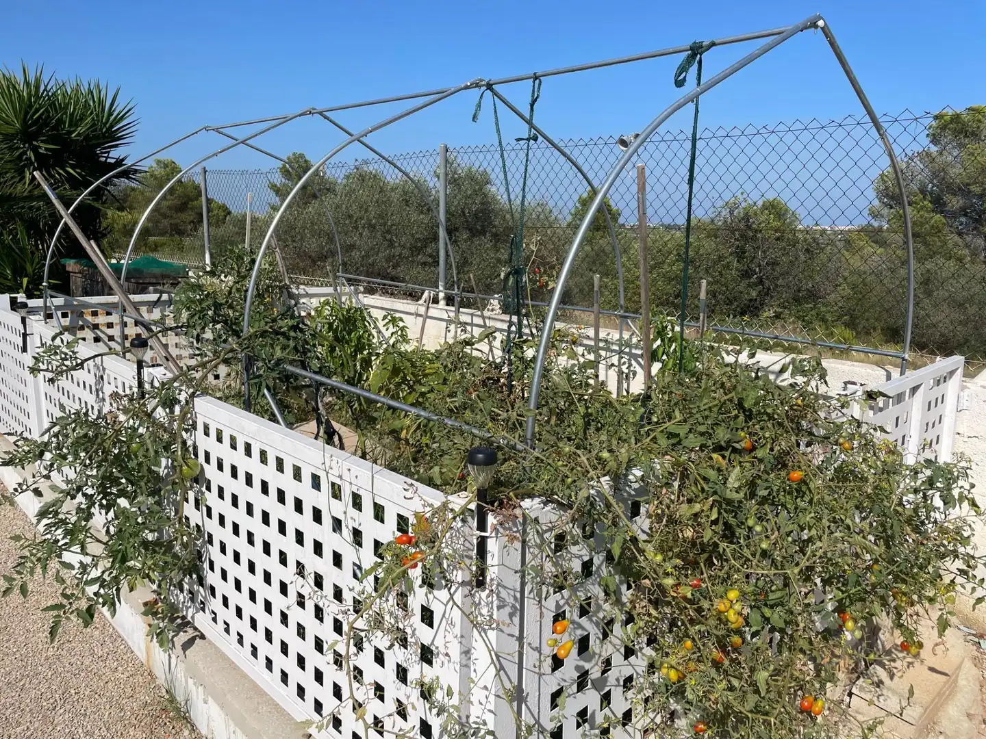 Jardí de Finca rústica en venda en Peñíscola / Peníscola amb Calefacció, Jardí privat i Terrassa