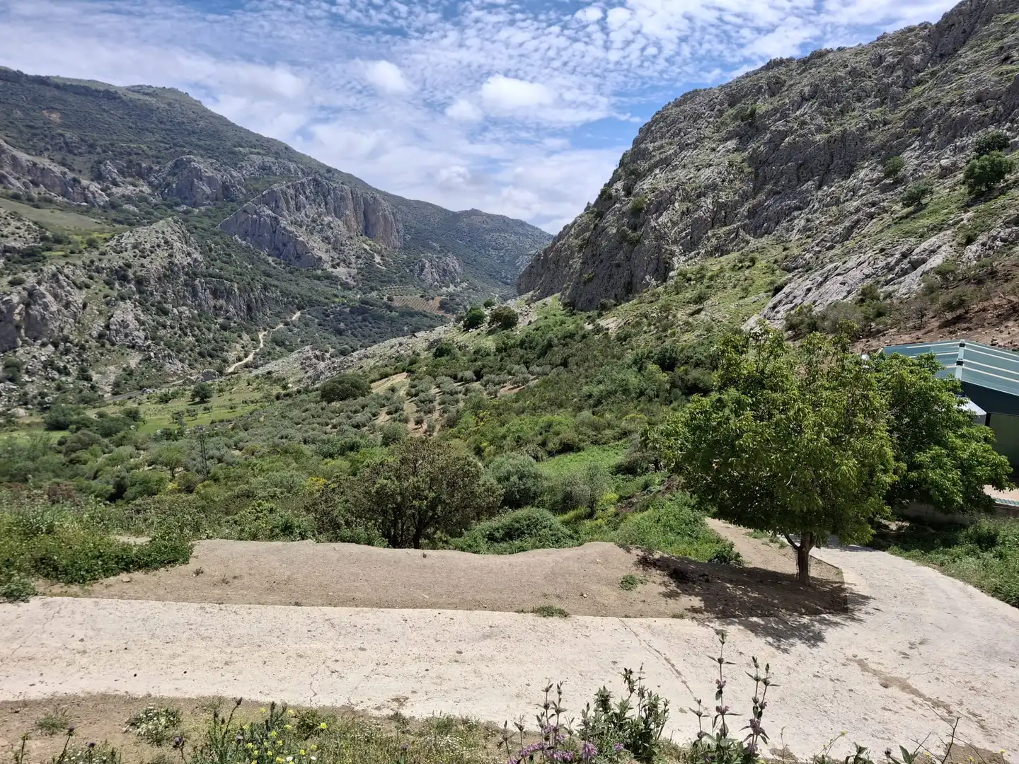 Terreni e lotti in vendita a Alfarnatejo, imagen 3