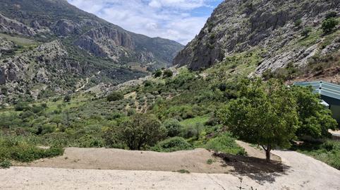 Foto 3 de Terreno en venta en Alfarnatejo, Málaga