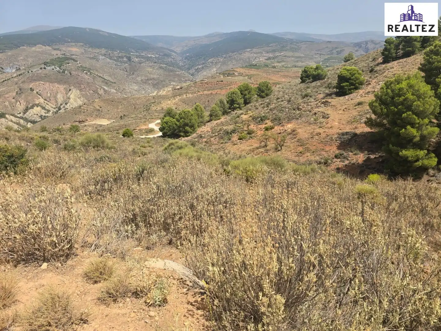 Terrain rustique à vendre à Alcolea, imagen 2