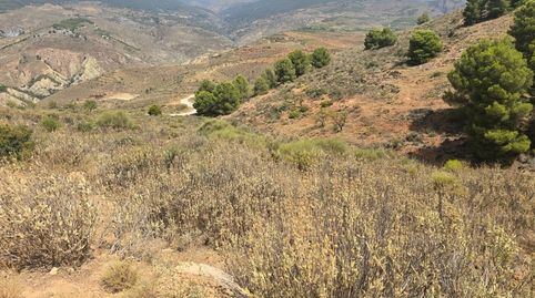 Finca rústica en venta en Alcolea vistas panorámicas en plena Alpujarra Almeriense, immagine 2