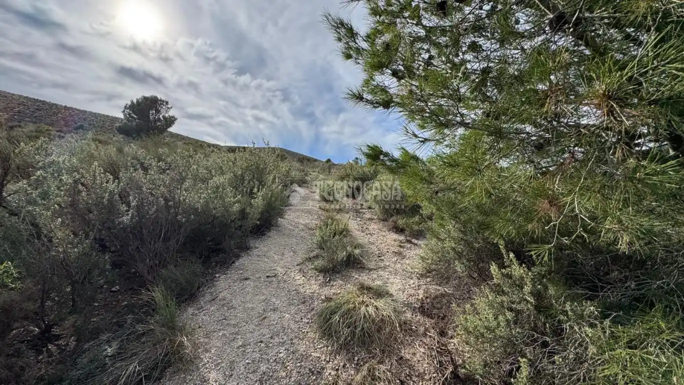 Terreno en venta en Gualchos