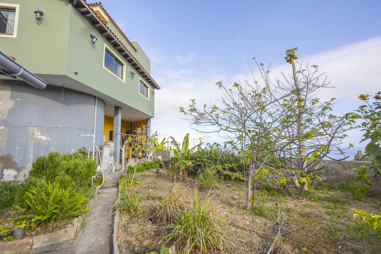 Vista exterior de Casa o chalet en venta en Icod de los Vinos con Jardín privado, Terraza y Trastero