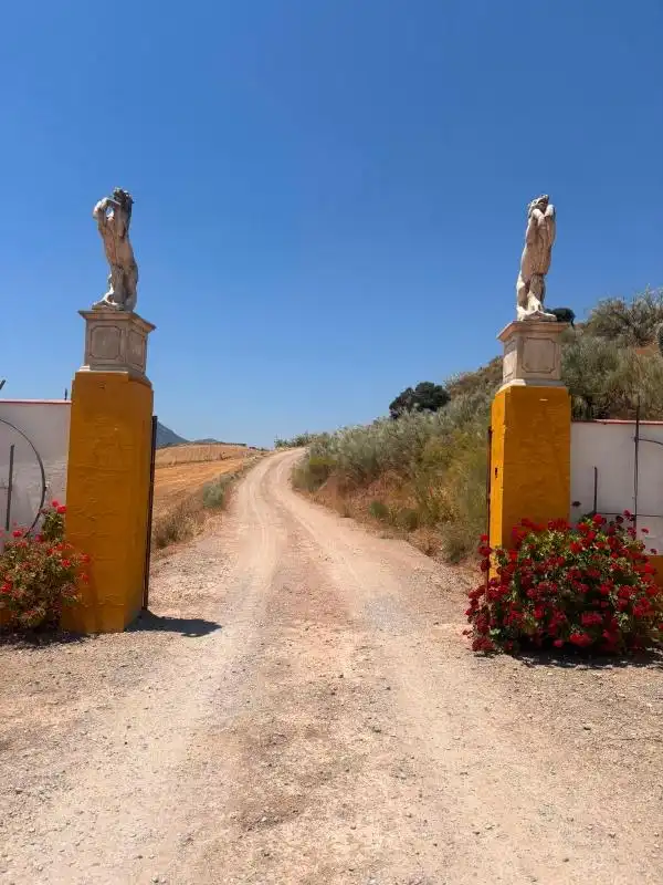 Vista exterior de Finca rústica en venda en El Saucejo amb Aire condicionat, Calefacció i Moblat