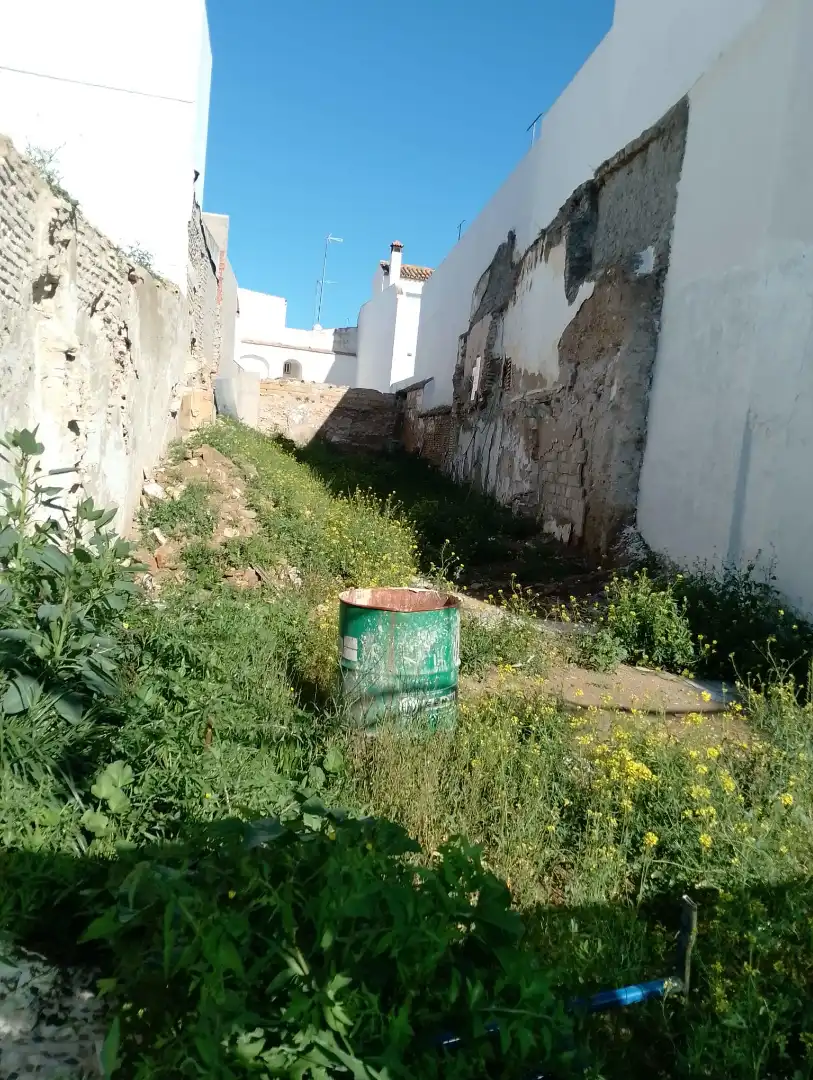 Terreny residencial en venda a Calle Maestre 7