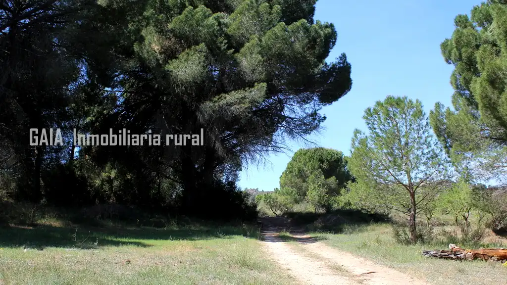 Exterior view of Country homes for sale in Fabara