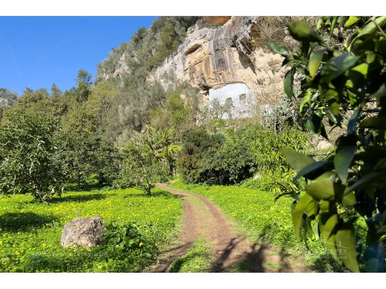 Terreny rústic en venda a Ciutadella, imagen 38