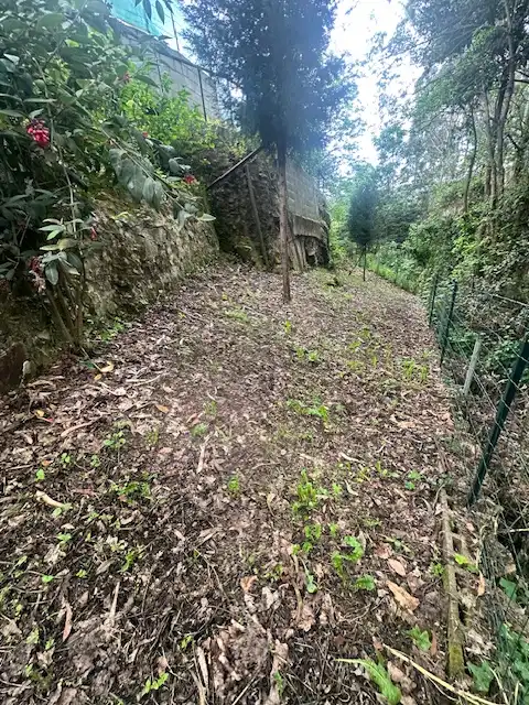Casa o chalet en venta en Pravia con Calefacción, Jardín privado y Terraza