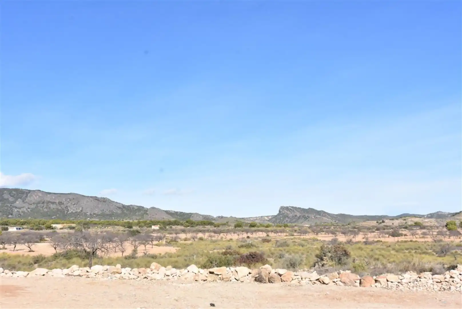 Casa o xalet en venda en Fuente Álamo de Murcia amb Jardí privat i Terrassa