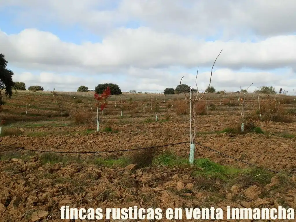Terreni e lotti in vendita a Torrijos, imagen 4