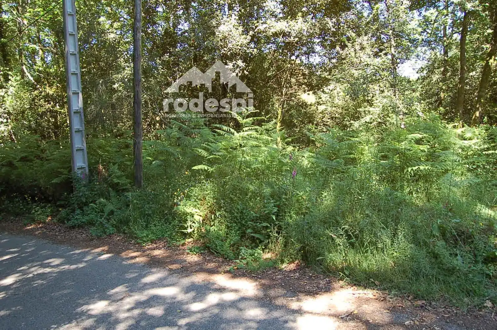 Terrain rustique à vendre à Salvaterra de Miño, imagen 7