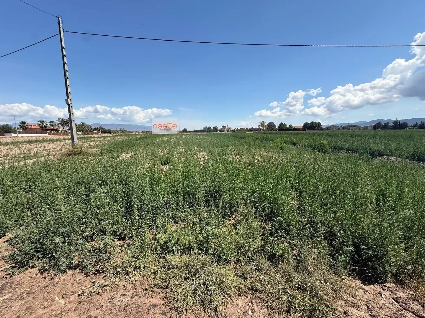 Terreny residencial en venda a Pedanías Centro, imagen 3