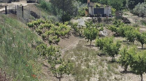 Foto 4 de Casa o chalet en venta en La Peza, Granada