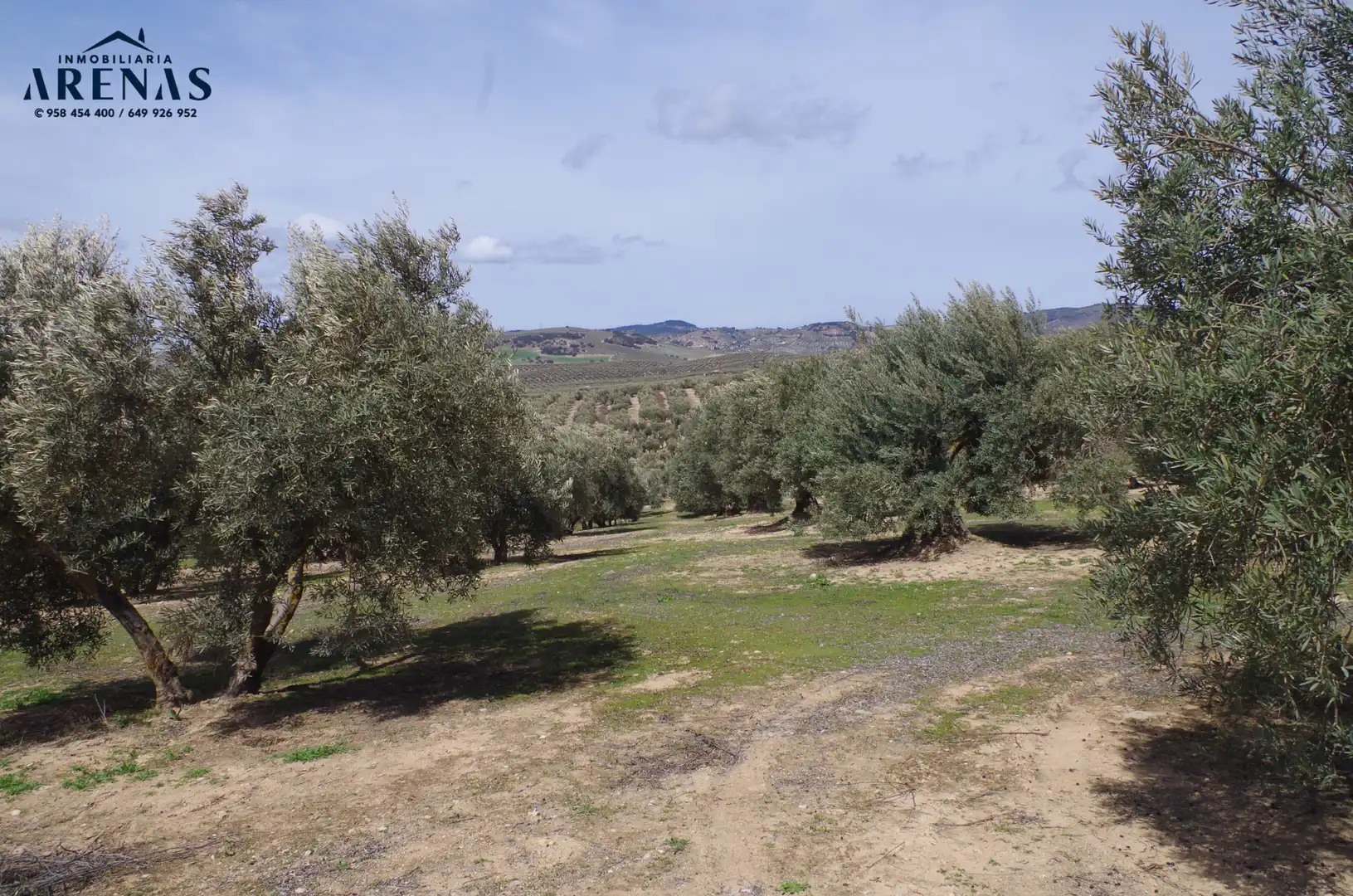 Residential land for sale in Íllora, imagen 11