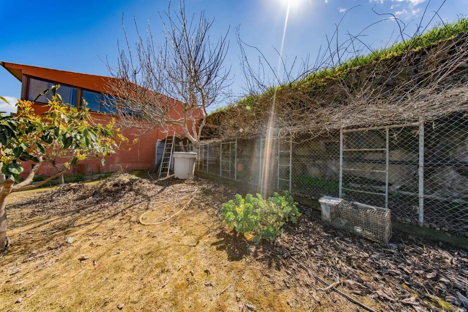Jardí de Casa o xalet en venda en La Guancha amb Jardí privat, Terrassa i Traster