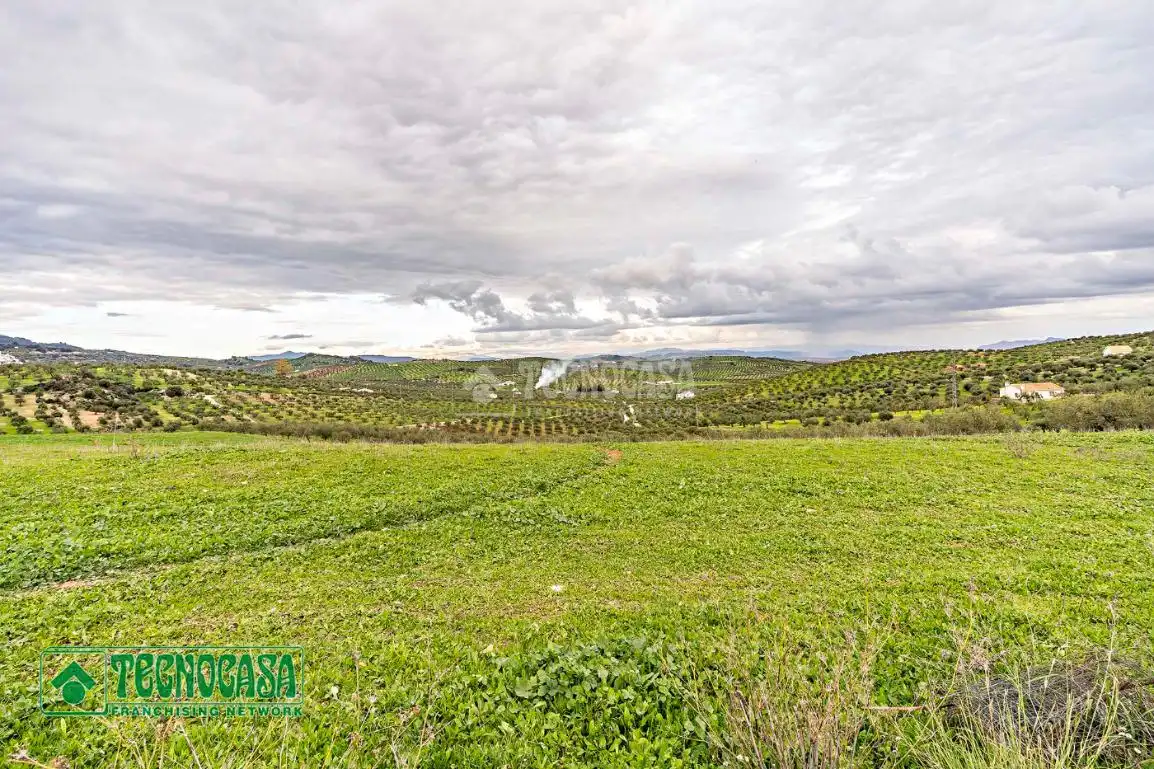 Rural land for sale in Alozaina, imagen 10