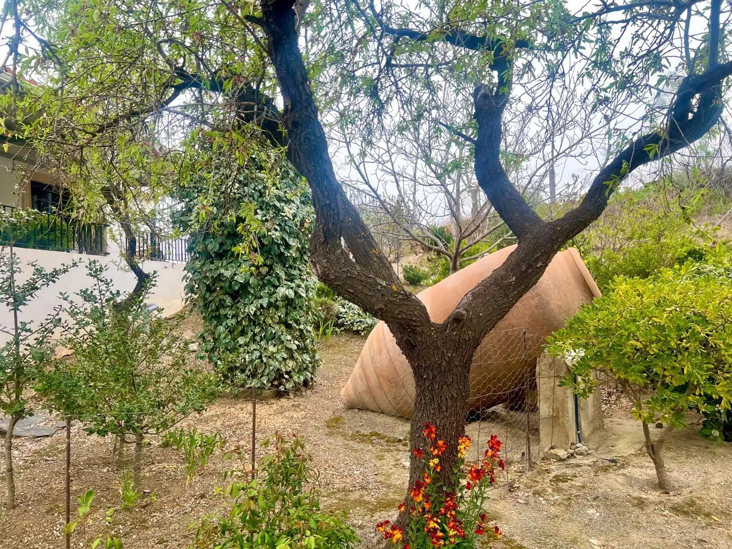 Casa rústica en venta en Albondón, imagen 30