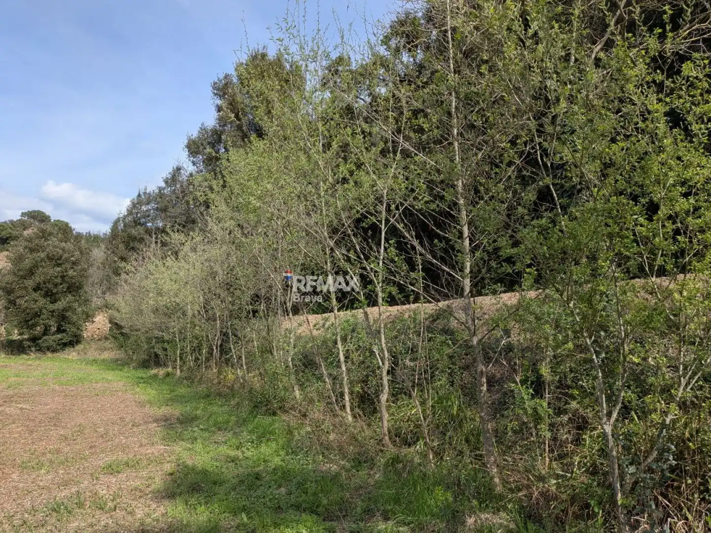 Residential for sale in Sant Julià del Llor i Bonmatí