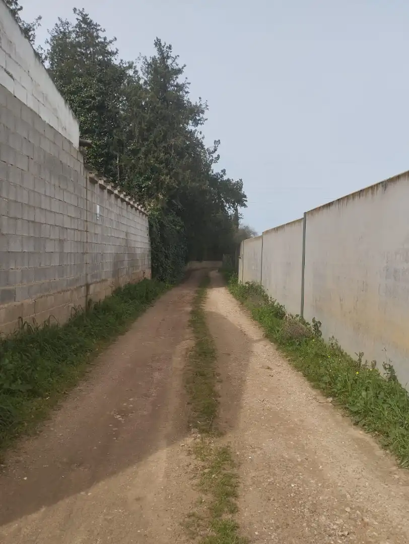 Terreni e lotti in vendita a Sanlúcar la Mayor, imagen 3