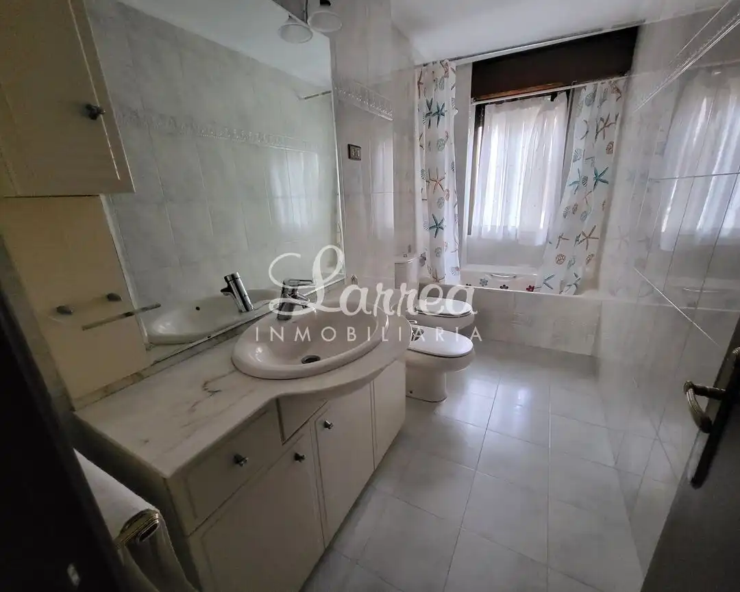 Wohnung mit Terrasse zum Verkauf in Amorebieta-Etxano, imagen 7