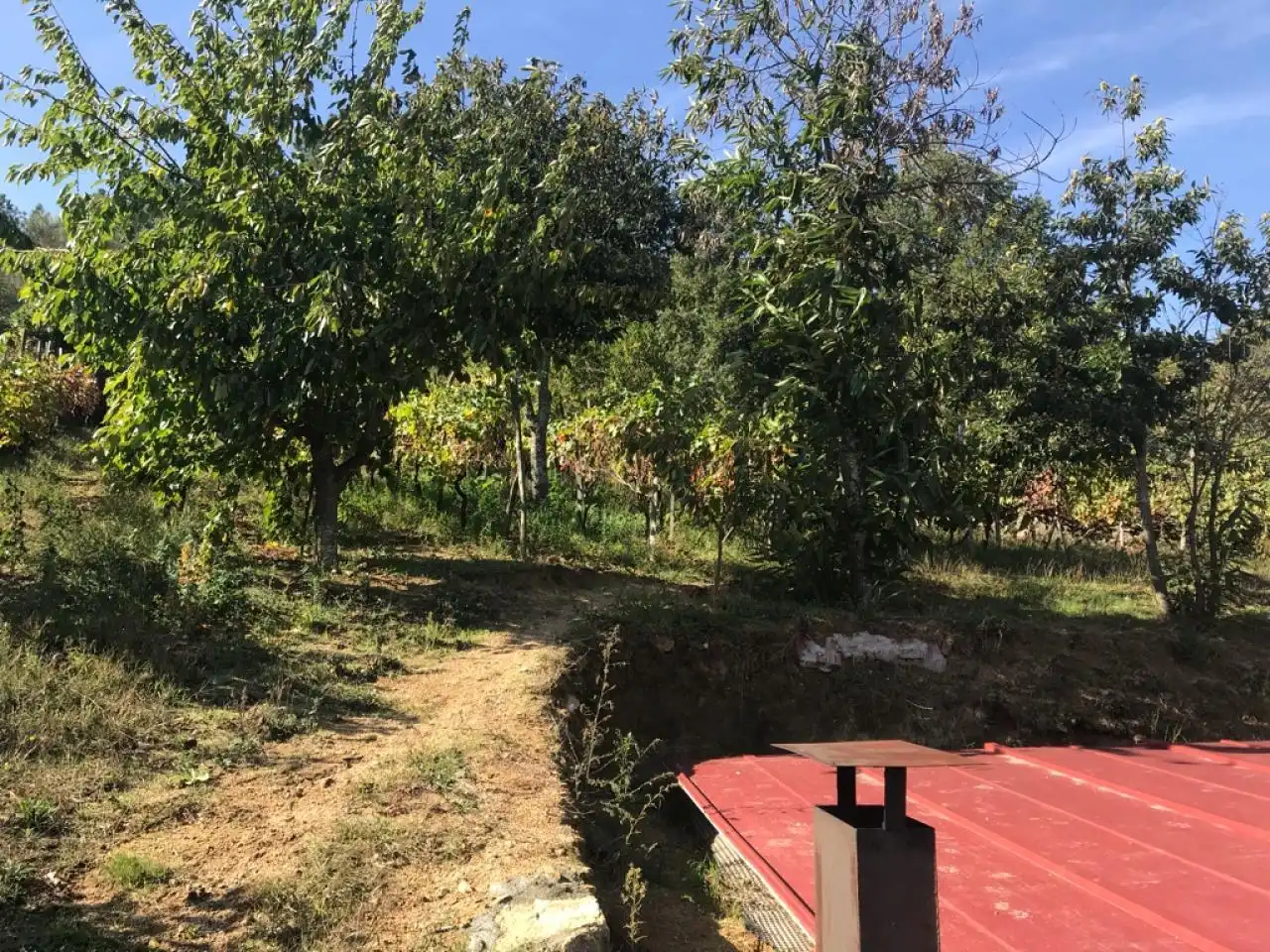 House with terrace for sale in O Pereiro de Aguiar, imagen 12