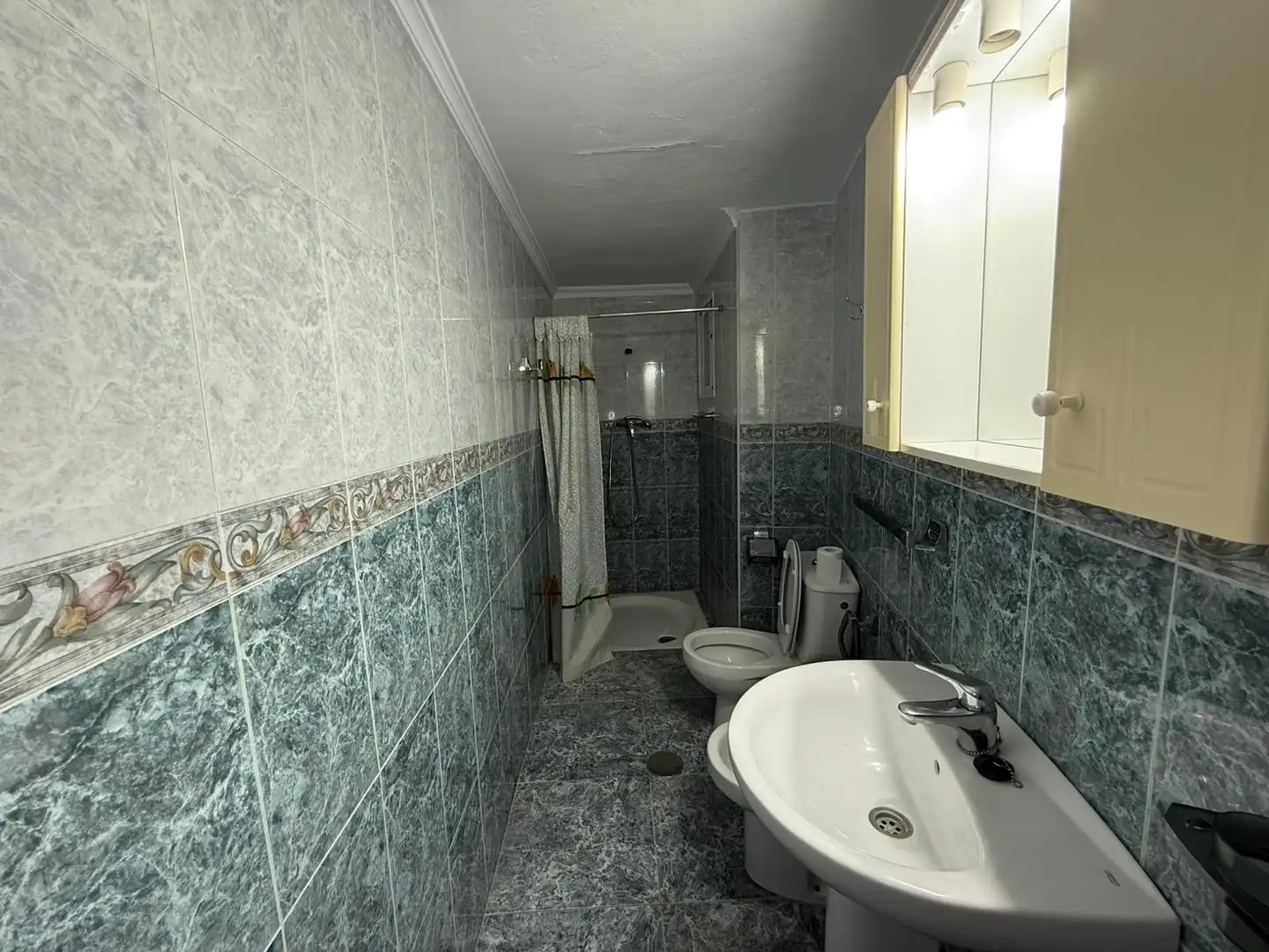 Bany de Casa o xalet en venda en Pizarra