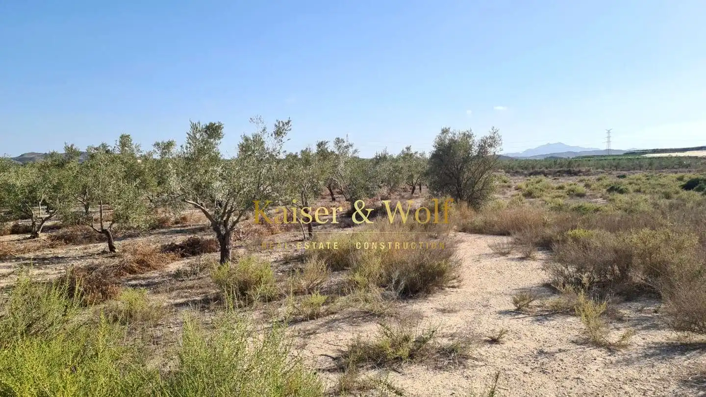 Terrenos y solares en venta en Monforte del Cid, imagen 13
