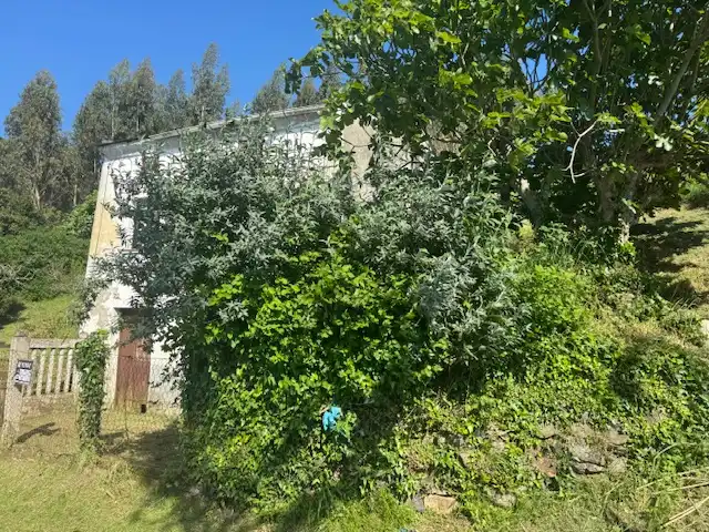 Casa o xalet en venda en Castropol