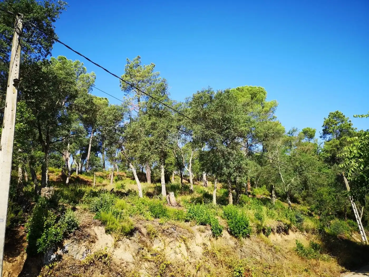 Residential land for sale in Urbanitzacio Sant Roc 23
